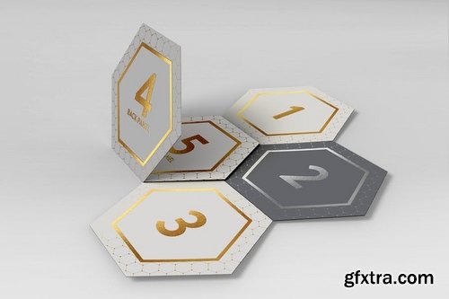 Hexagon Fold Out Style Brochure