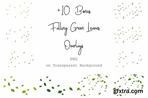 CM - 120 Green Tree Branches Overlays 2382282