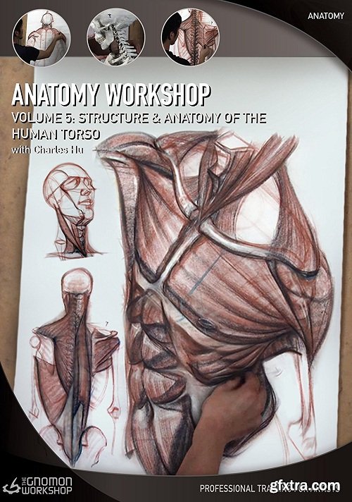 The Gnomon Workshop - Anatomy Workshop Volume 6: Structure and Anatomy of the Arm