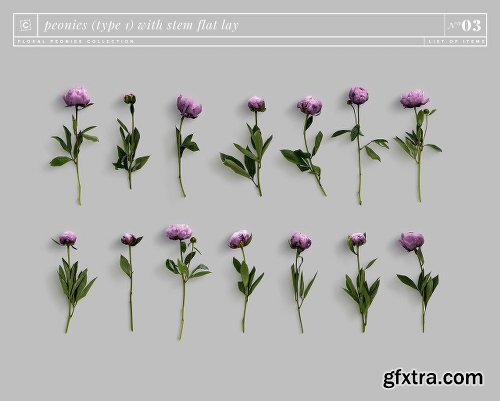 CreativeMarket Floral Peonies Collection [20% OFF] 2303528