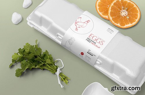 Egg Crate Mockup PSD Egg Crate Mockup PSD