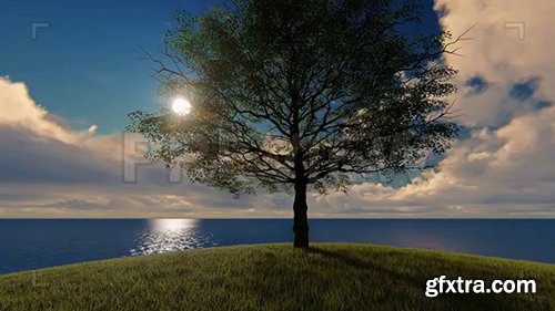 Tree On Hill Overlooking Ocean 77579