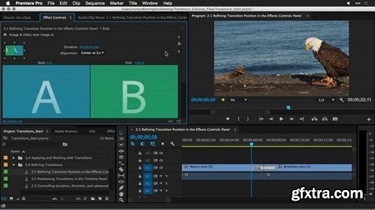 Premiere Pro Guru: Better Transitions