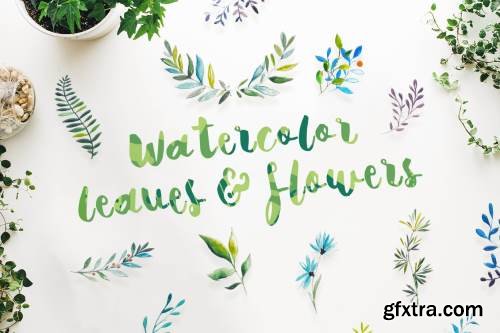 21 Watercolor Leaves &amp; Flowers