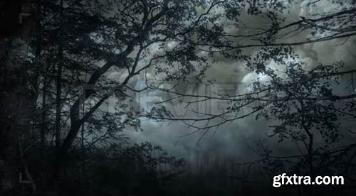 Fairy Tale Forest Pack - Motion Graphics 79030
