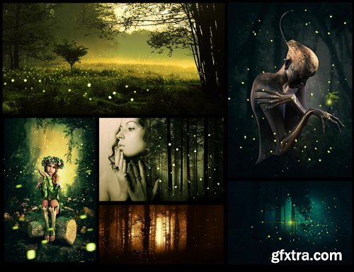 Ron's Fireflies Brushes