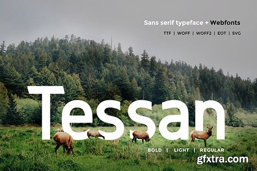 Tessan Sans - Modern Typeface + WebFont
