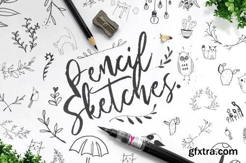 Pencil Sketches Bundle