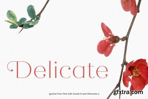 Quiche Font Family Quiche Font Family