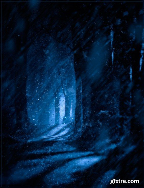 Ron's Magical Snow Brushes Ron's Magical Snow Brushes