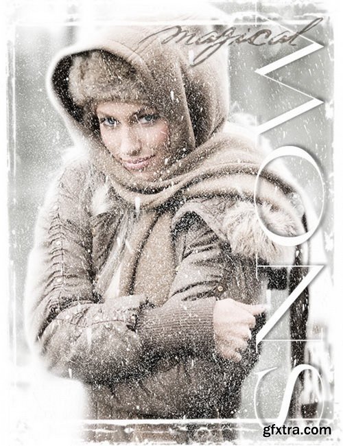 Ron's Magical Snow Brushes