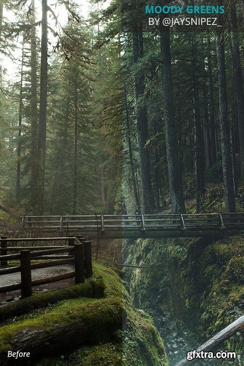 AOV x Jaysnipez Lightroom Presets