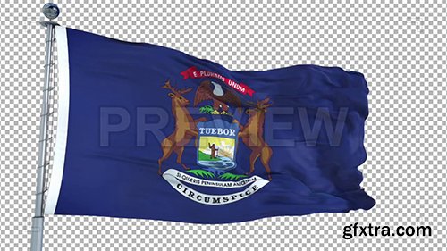 Michigan Flag 73933