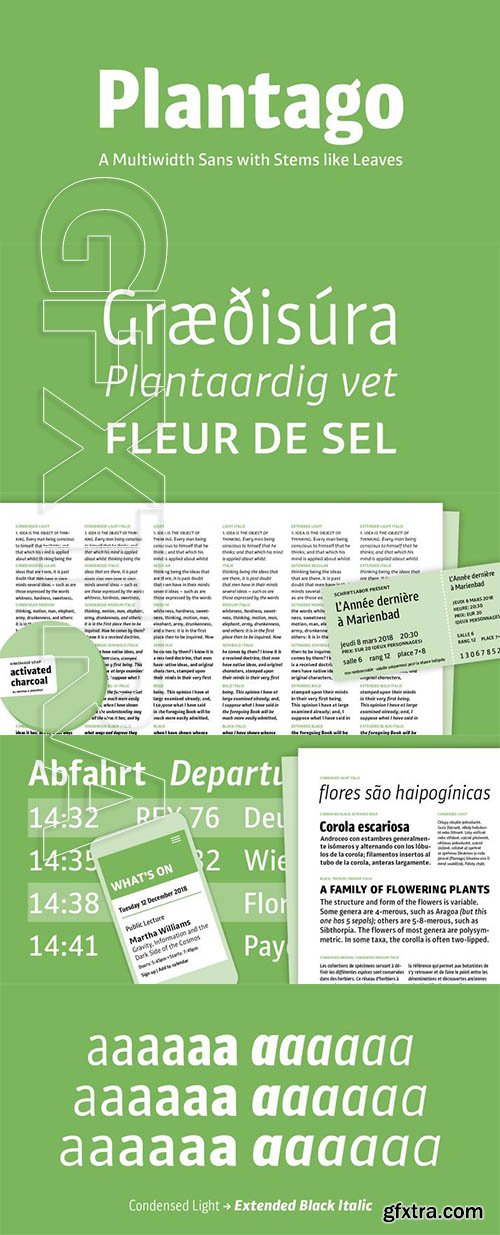 Plantago font family