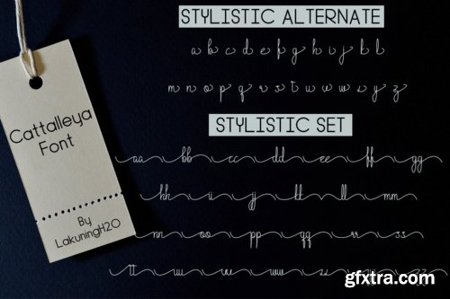 Cattalleya Font
