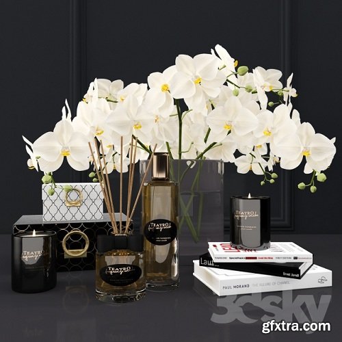 Decorative set of flavors Teatro Fragranze, a bouquet of orchids and books