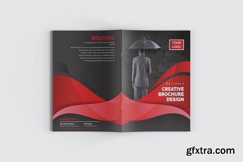 Bifold Brochure