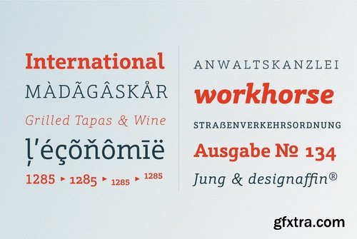 Schnebel Slab Font Family Schnebel Slab Font Family