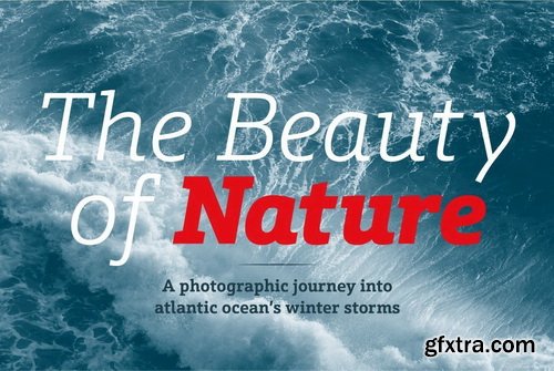 Schnebel Slab Font Family Schnebel Slab Font Family