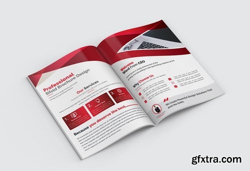 Bifold Brochure