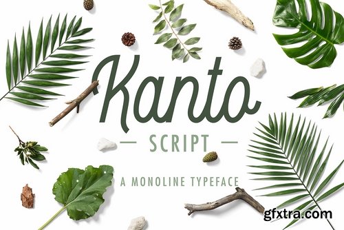 CM - Kanto Script A Monoline Typeface 2484862