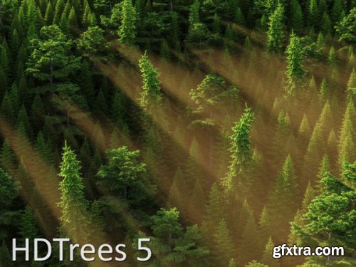 HD Trees Vol 5 for Cinema4D