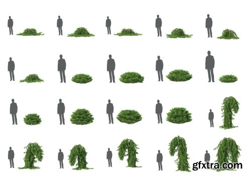 HD Trees Vol 5 for Cinema4D