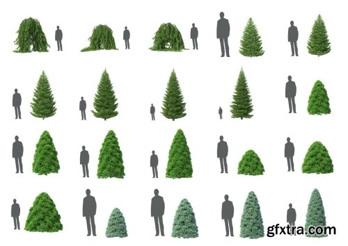 HD Trees Vol 5 for Cinema4D