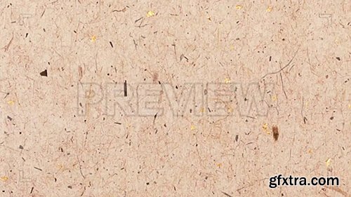 Grainy Paper Animation 85261