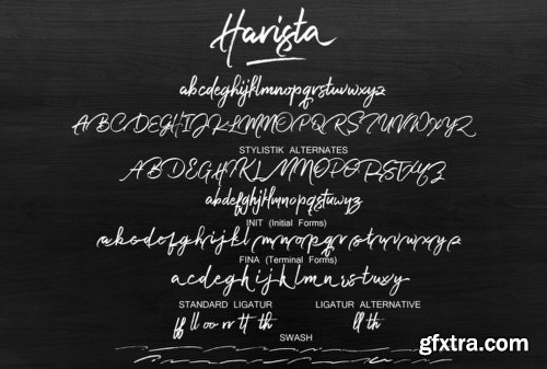 Harista Script Font Family - 2 Fonts