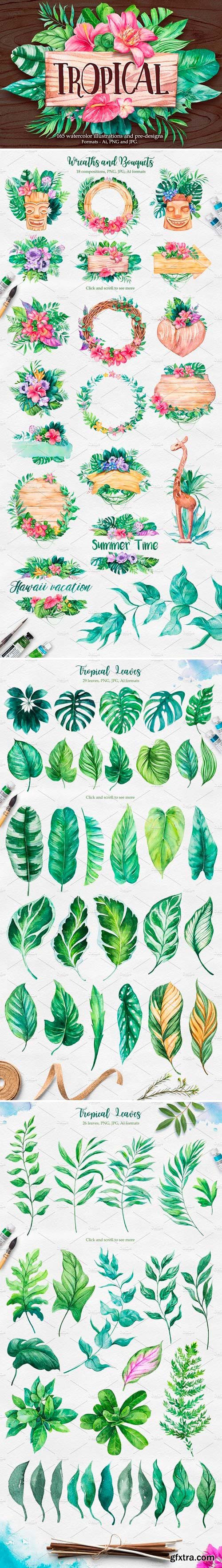 Tropical Watercolor illustrations AI, PNG 2379405
