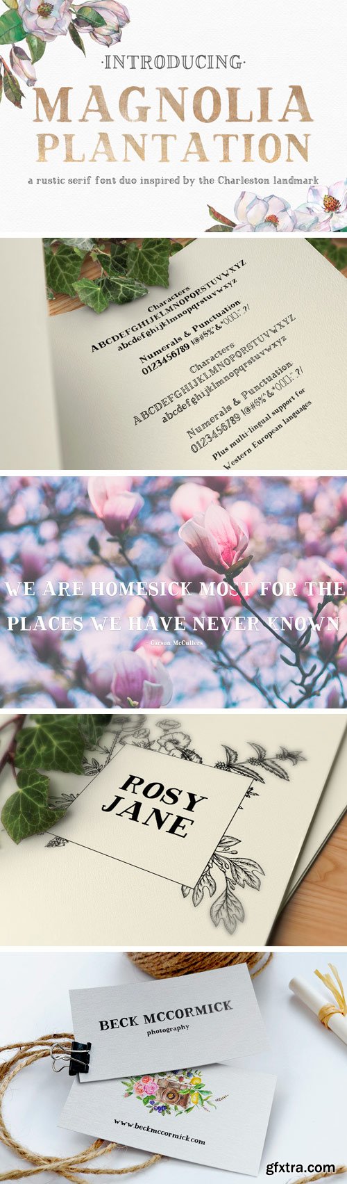 Magnolia Plantation Font Family