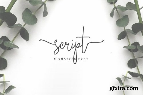 CM - Wonderland Fonts Pack & Branding Kit 2614377
