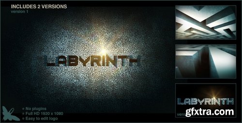 Videohive Labyrinth Logo 5141040
