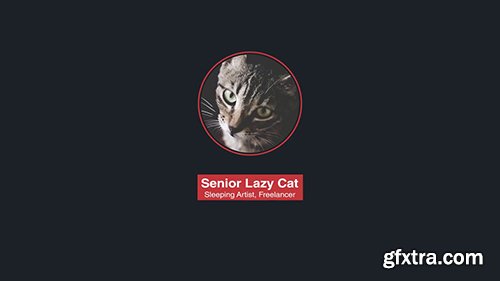 Portfolio & Resume 41271 Portfolio & Resume 41271