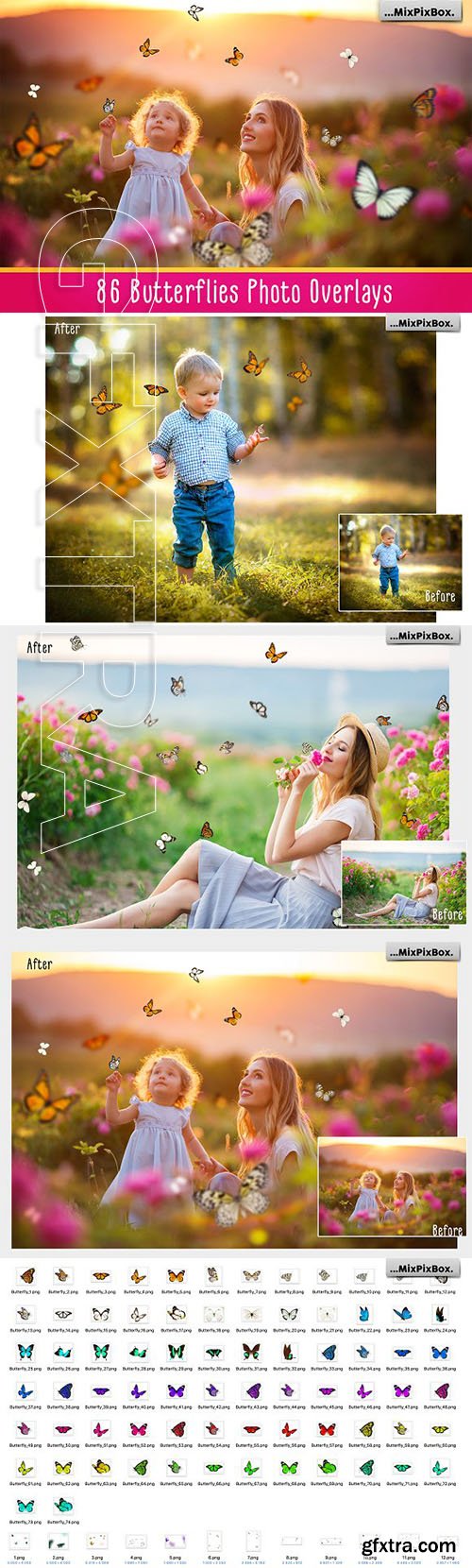 Butterflies Photo Overlays