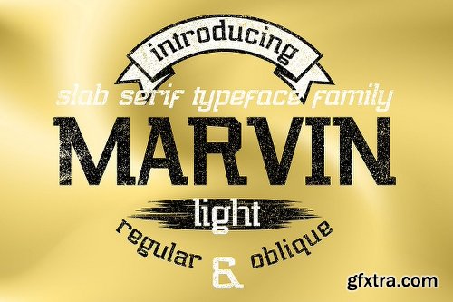 Font Bundle: 40 Typefaces from 22 Font Families