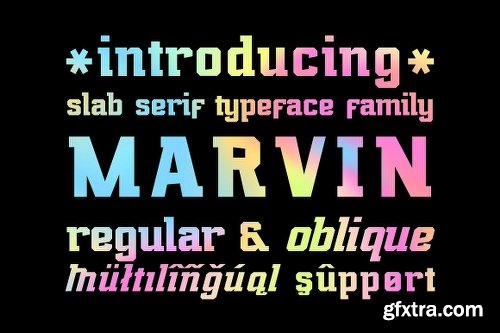 Font Bundle: 40 Typefaces from 22 Font Families