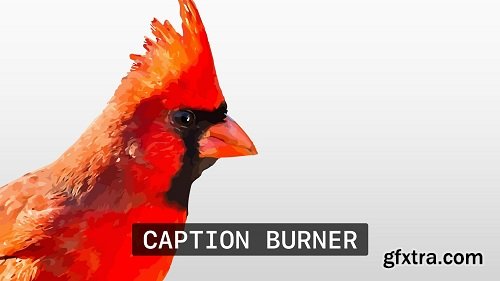 Caption Burner v1.0 for Final Cut Pro X macOS