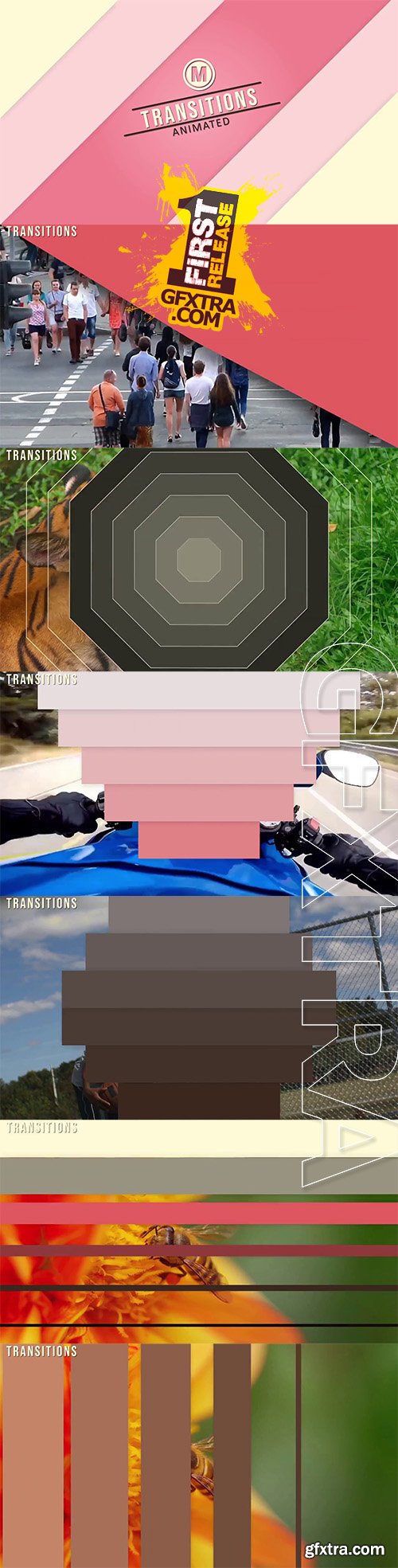 Transitions and Light Leaks 99051