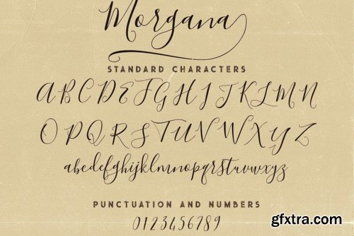 Morgana Script Font Family - 2 Fonts