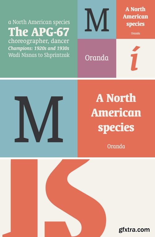Oranda Font Family - 6 Fonts