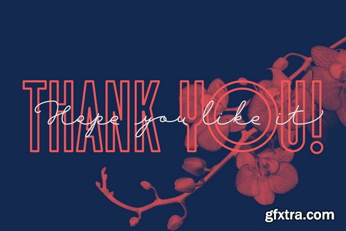 Sansterdam Font Family Sansterdam Font Family