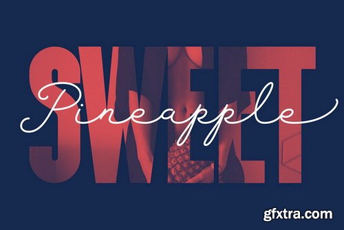 Sansterdam Font Family Sansterdam Font Family