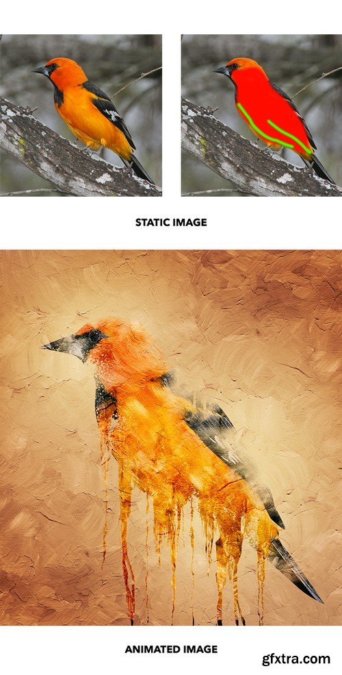 Graphicriver - Gif Animated Liquid Paint Photoshop Action 22245761