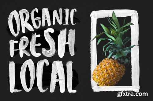 CreativeMarket Bravura SVG Font Duo &amp; Extras! 2790271