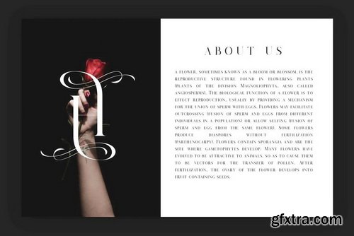 Salvalyn Font Salvalyn Font