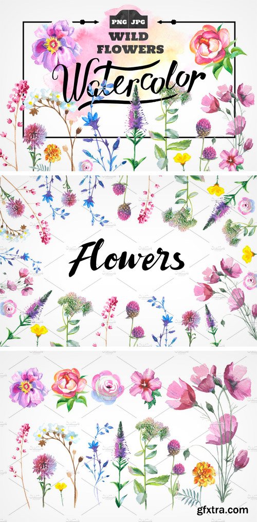 CM - Wild Flowers Watercolor PNG Set 932555