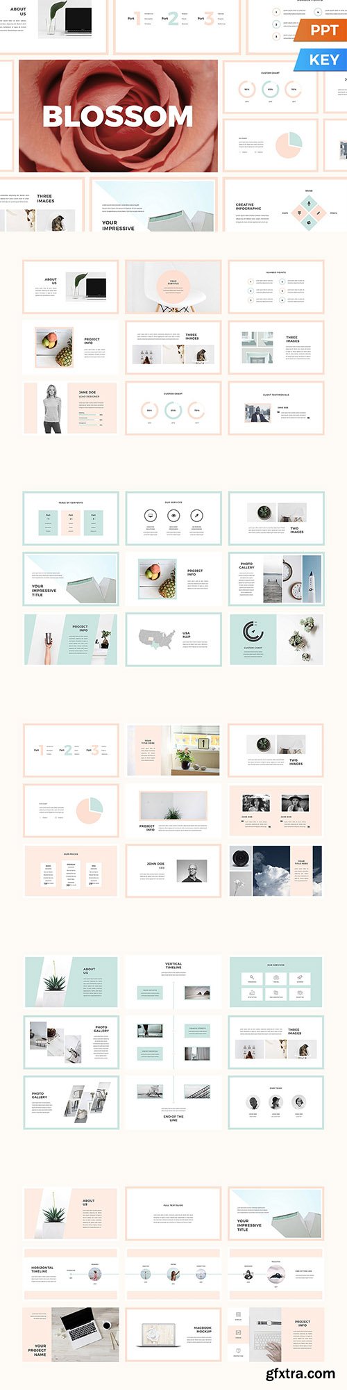 Blossom Presentation Template