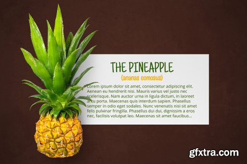 1050+ Isolated Food Items + Premade Scenes